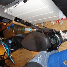 PGO black magic/Chamæleon