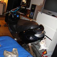 PGO black magic/Chamæleon