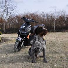 Yamaha Jog R TS #69# SOLGT! 