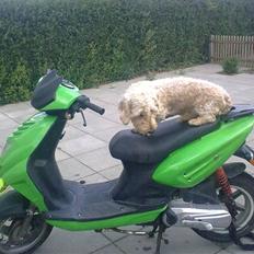 CPI Oliver City(græshoppen)S