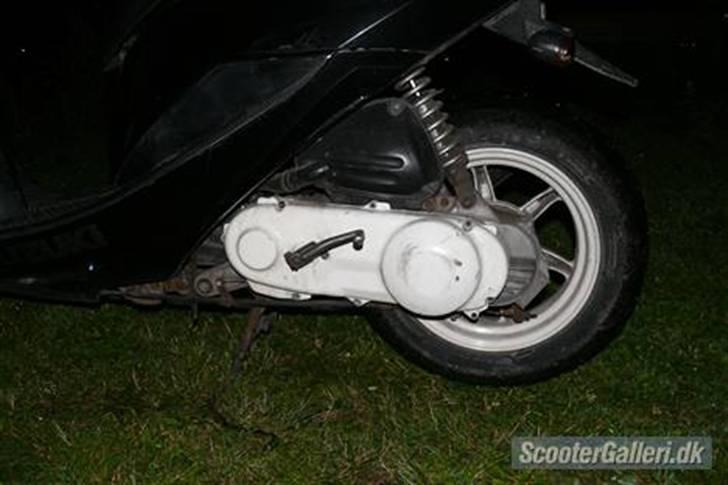 Suzuki estilete byttet til hot  billede 4