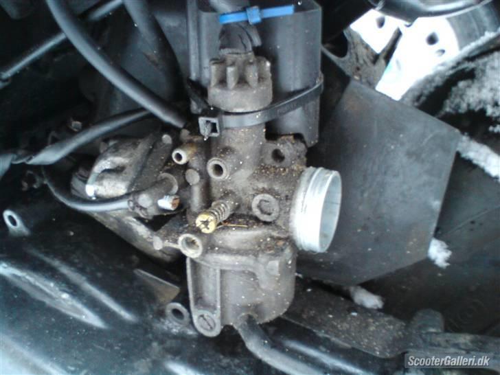 Peugeot squab billede 1