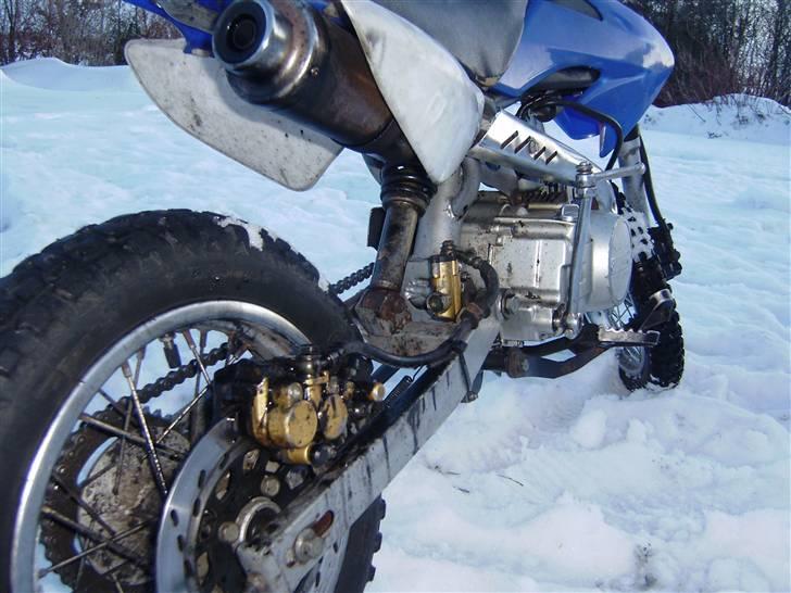 MiniBike dtrtbick 110 ccm  død  billede 4