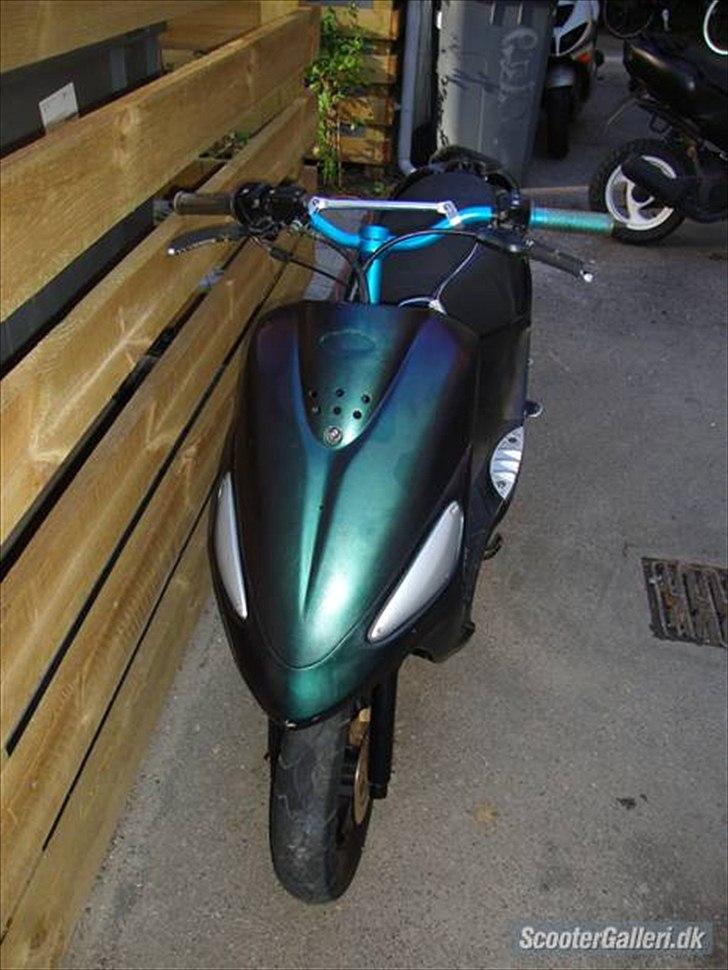 PGO black magic/Chamæleon billede 1