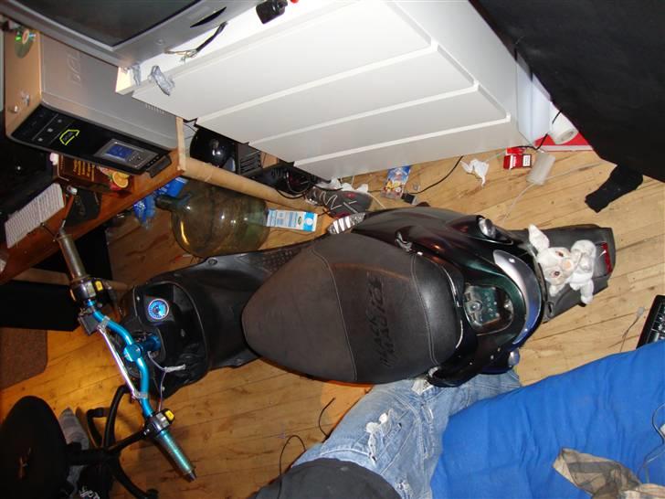 PGO black magic/Chamæleon billede 2