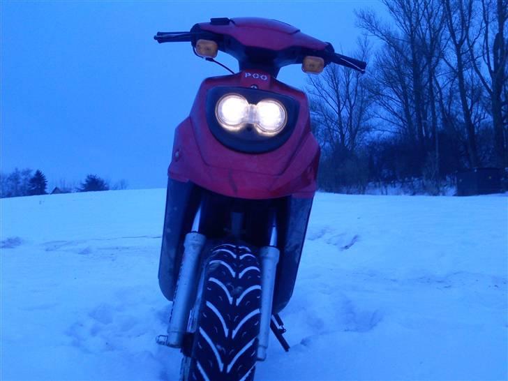 PGO big max (SOLGT) billede 1