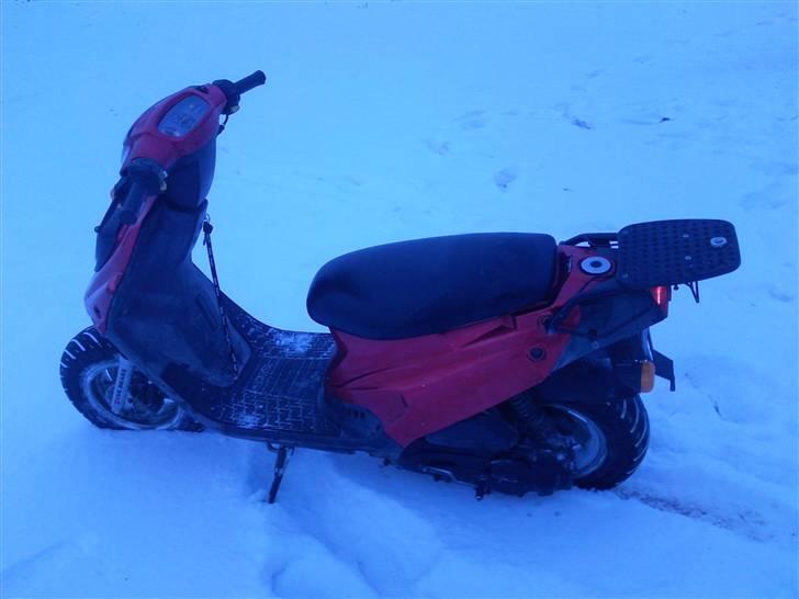 PGO big max (SOLGT) billede 2