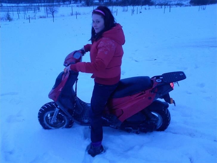 PGO big max (SOLGT) billede 3