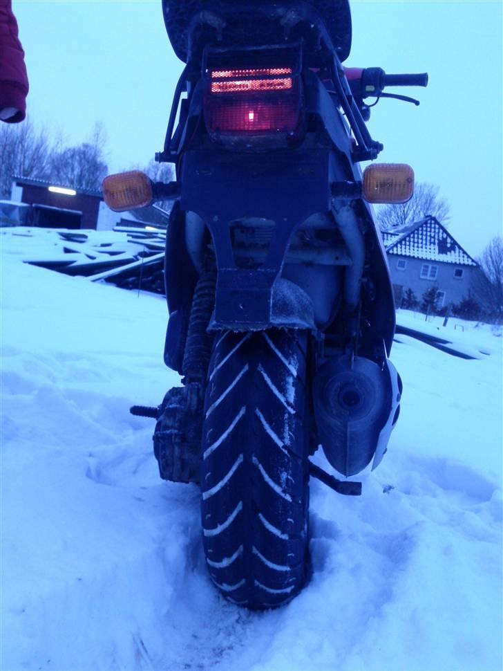 PGO big max (SOLGT) billede 4