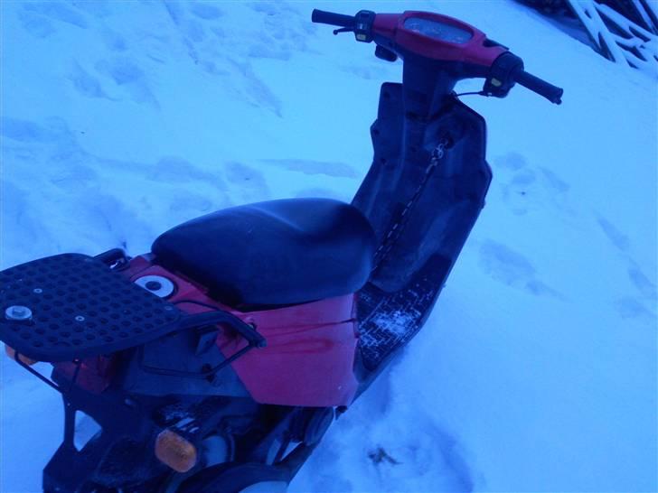 PGO big max (SOLGT) billede 5