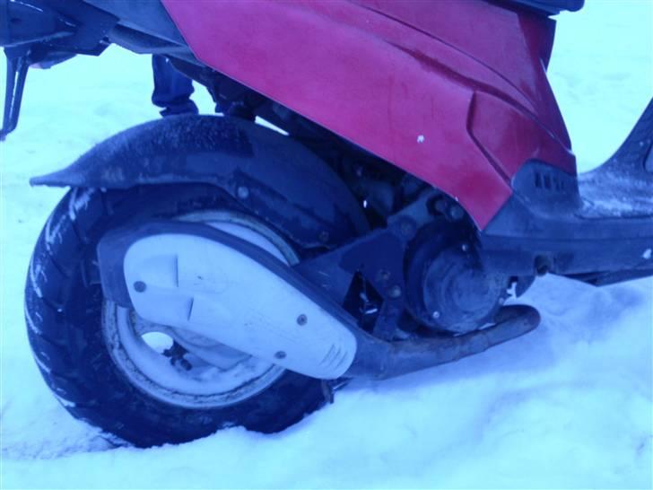 PGO big max (SOLGT) billede 6