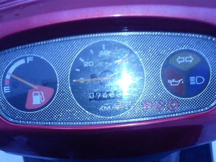 PGO big max (SOLGT) billede 7