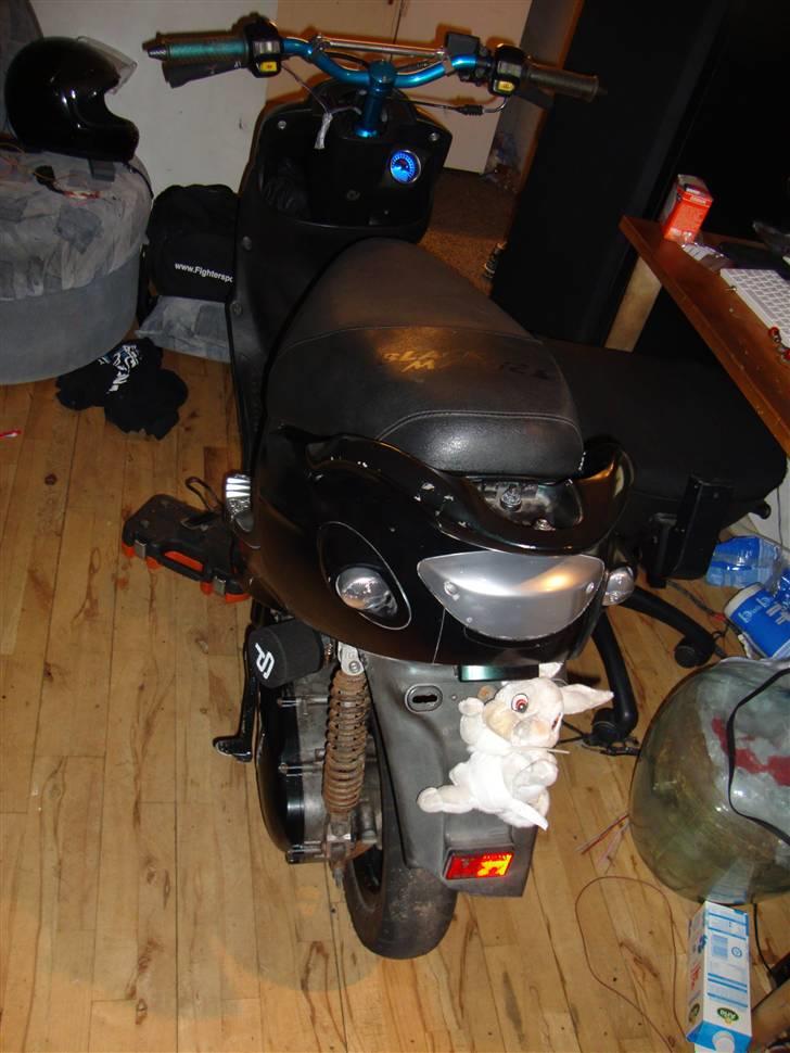 PGO black magic/Chamæleon billede 6