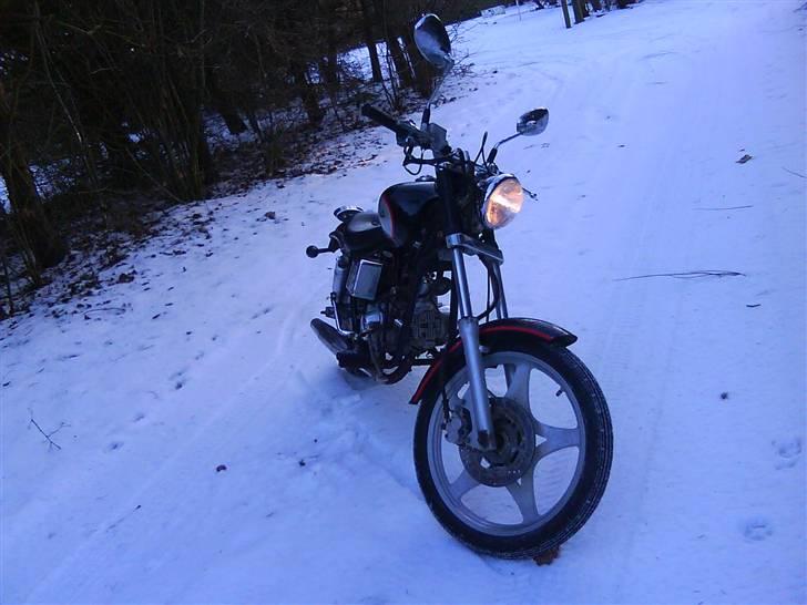 Kinroad prince solgt billede 1