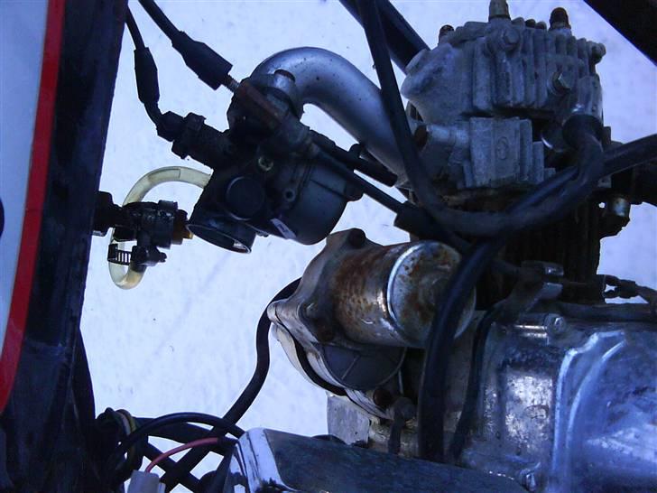 Kinroad prince solgt billede 6