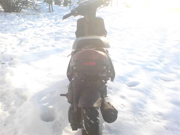 PGO Hot 50 billede 6