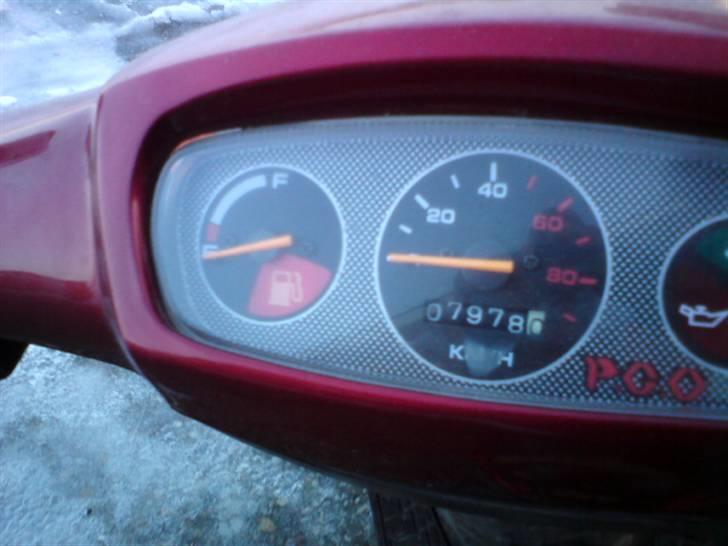 PGO big max solgt gammel lort billede 2