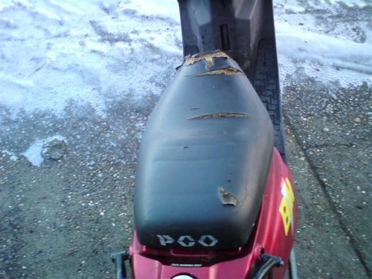 PGO big max solgt gammel lort billede 3