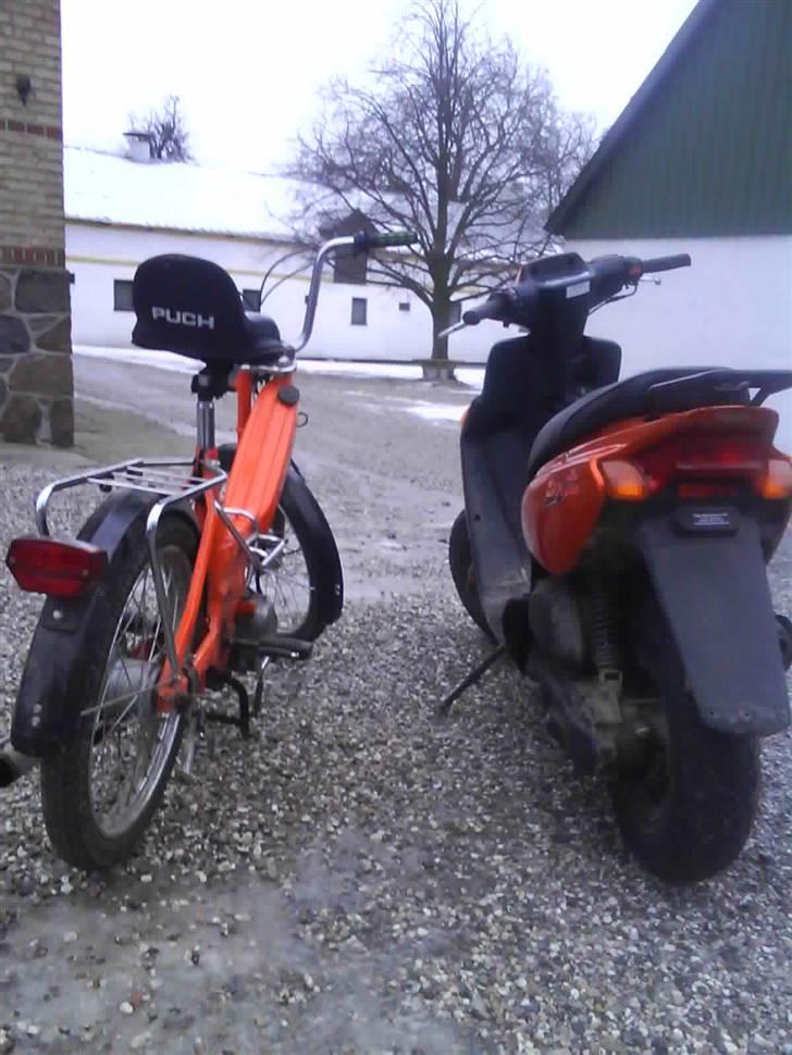 Puch Maxi k (KARLA) #SOLGT# - denne gang 2 dejlige røve billede 8