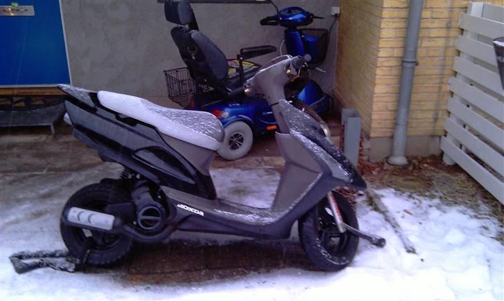 Honda SFX [FØR] billede 1