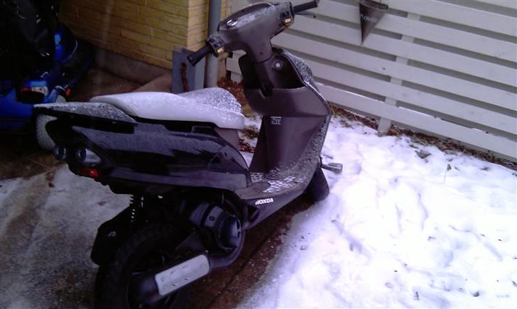 Honda SFX [FØR] billede 2