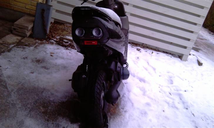 Honda SFX [FØR] billede 3