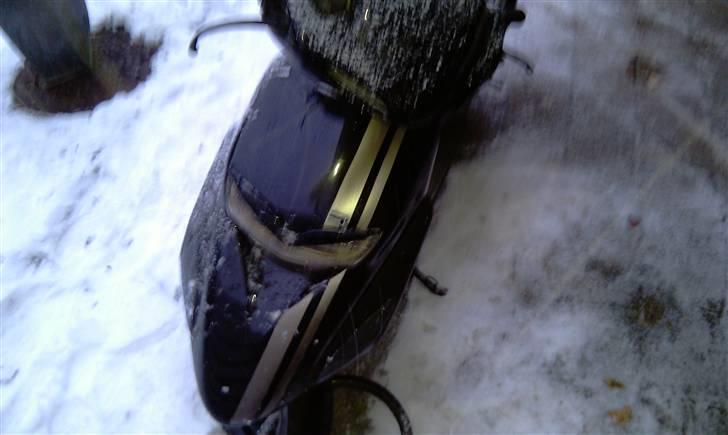 Honda SFX [FØR] billede 5