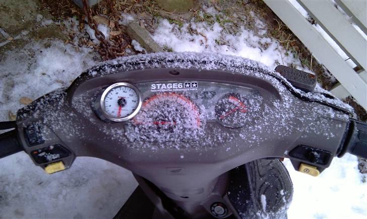 Honda SFX [FØR] billede 6