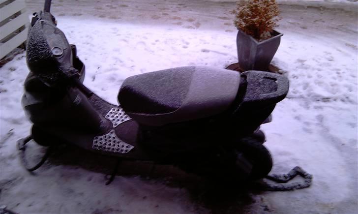 Honda SFX [FØR] billede 7