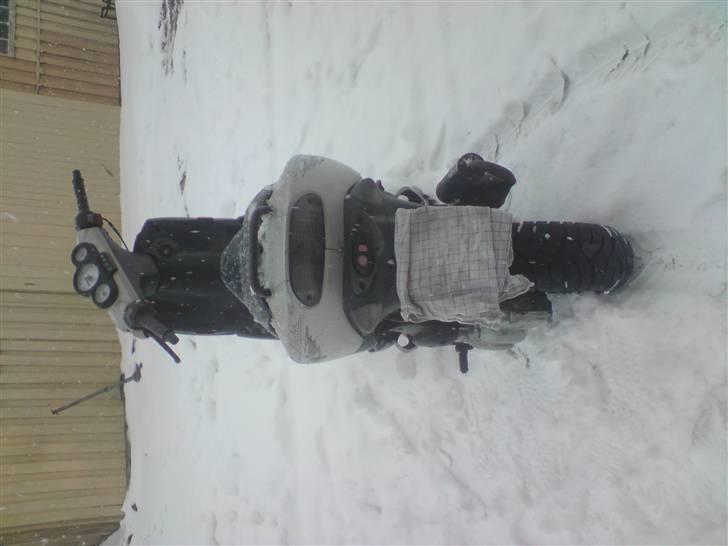 Peugeot speedfight 1 lc byttet billede 2