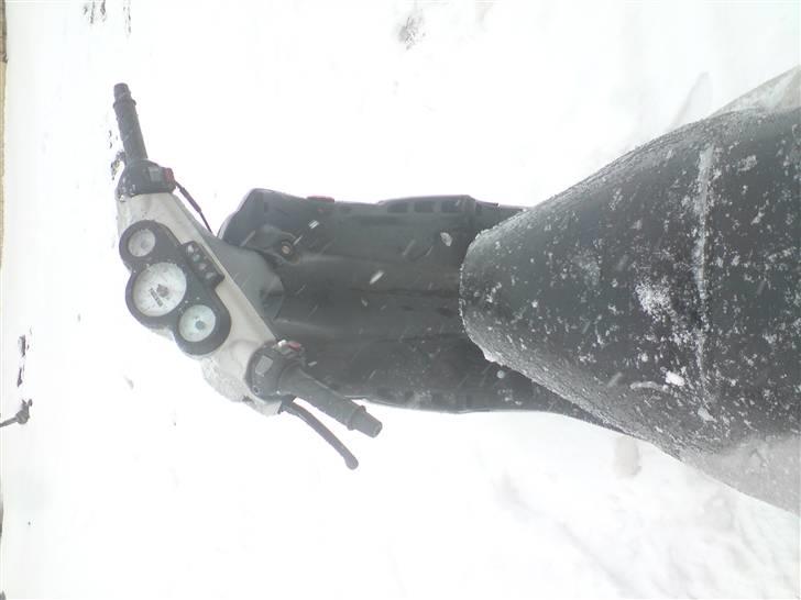 Peugeot speedfight 1 lc byttet billede 11