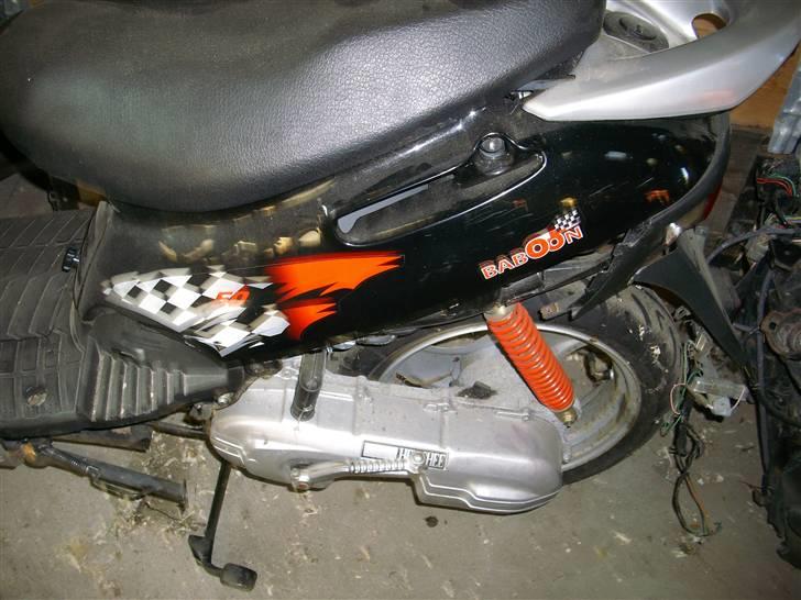 Adly Baboon billede 1