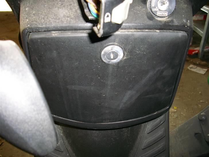 Adly Baboon billede 2