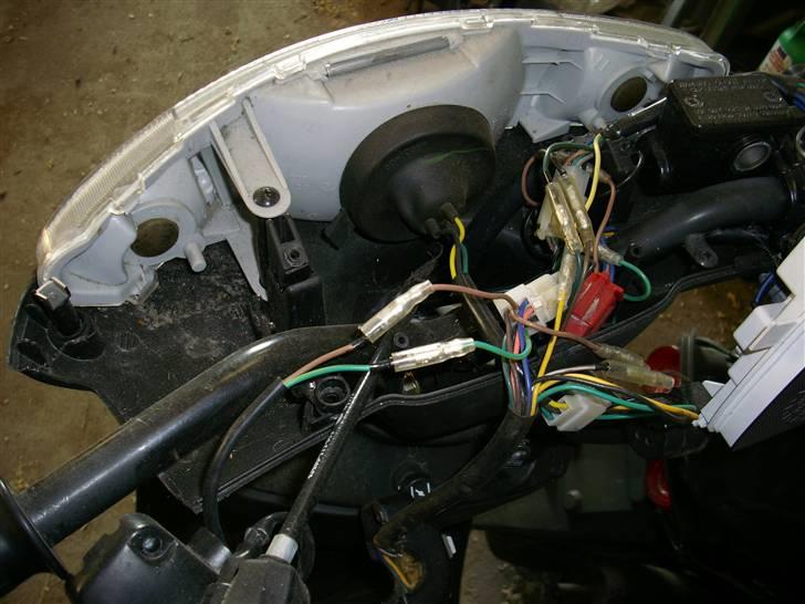 Adly Baboon billede 3