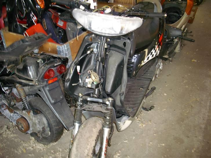 Adly Baboon billede 5