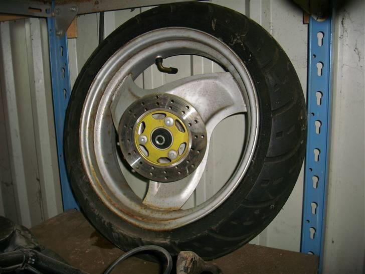 Adly Baboon billede 6