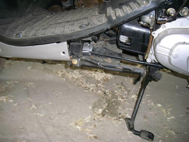 Adly Baboon billede 7