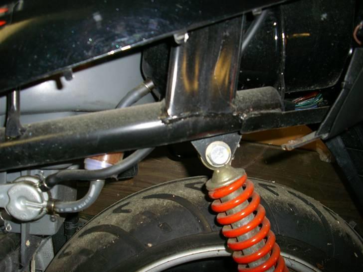 Adly Baboon billede 8