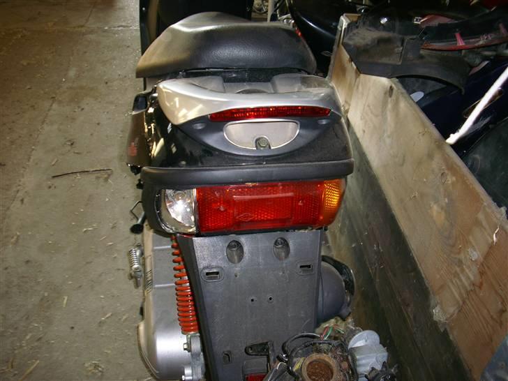 Adly Baboon billede 9