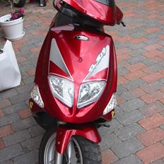 PGO Dr. big TIL SALG