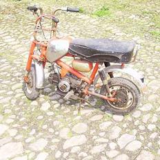 Veteraner benelli Hornet