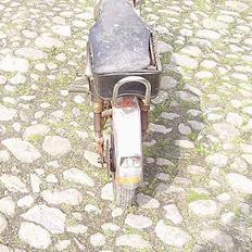 Veteraner benelli Hornet