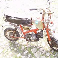 Veteraner benelli Hornet