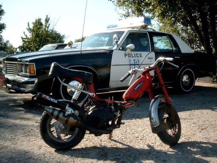 Garelli Katia + Zip billede 6