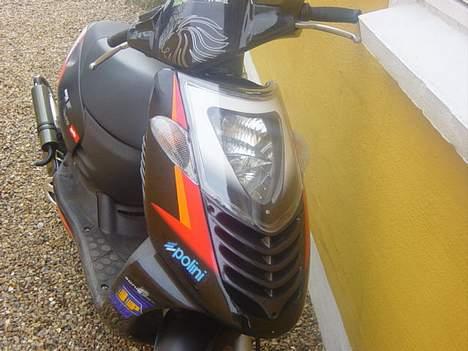 Aprilia Vildeste Sonic SBK DK  billede 5