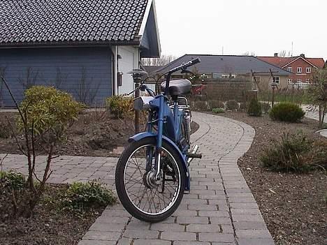 Puch Maxi E50 --BYTTET-- billede 2