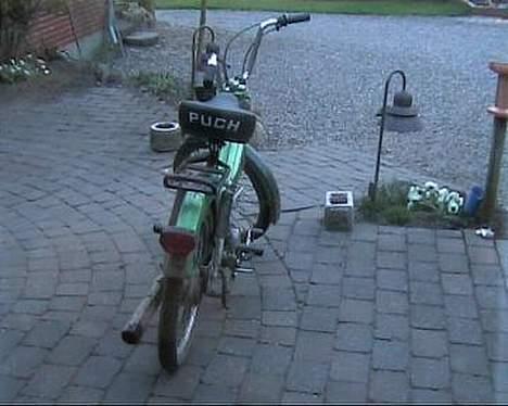 Puch Maxi  billede 4