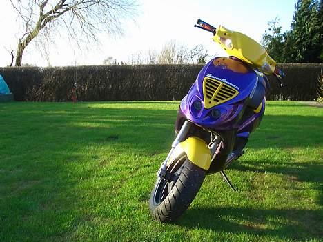 Piaggio Nrg til salg billede 11