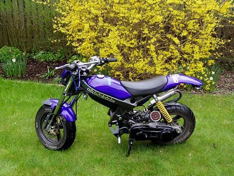 Suzuki Street magic [SOLGT] billede 2