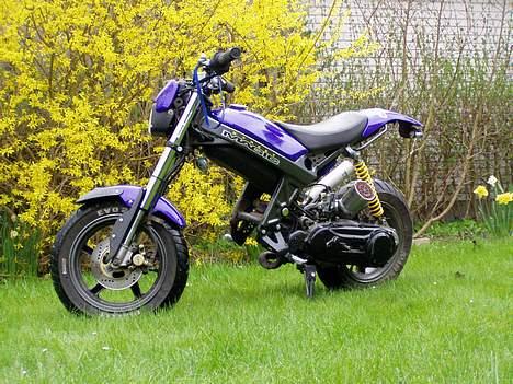 Suzuki Street magic [SOLGT] billede 6